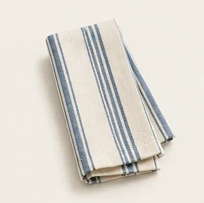 Blue Stripe Napkin — illustrative design reference